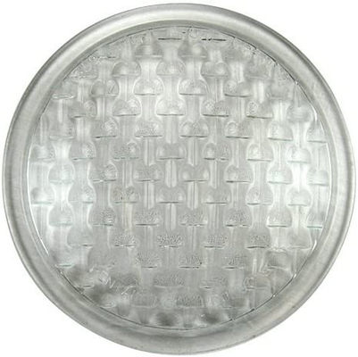 Pentair 79100100 Amerlite Şeffaf Lens 8 3/8